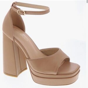 Top Moda Women Open Toe Ankle Strap Platform Chunky High Heel Sandal